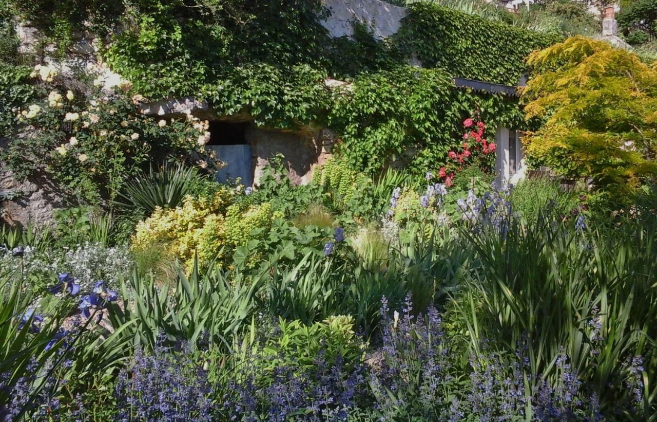 Troglodelice Bed and Breakfast Azay-le-Rideau Eksteriør billede